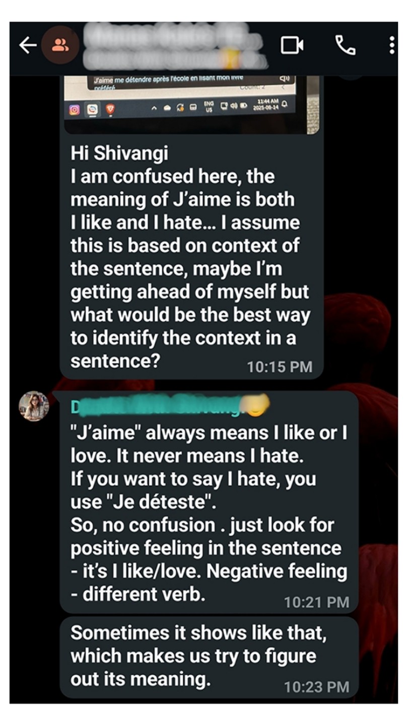 WhatsApp Chat Screenshot 3