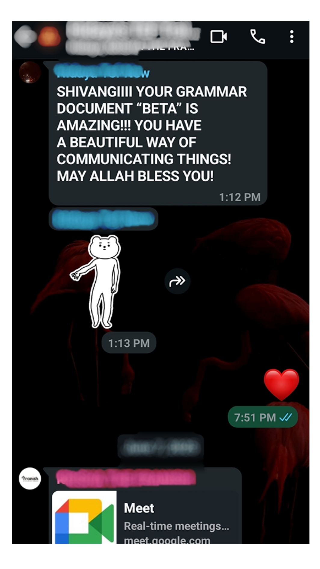 WhatsApp Chat Screenshot 4